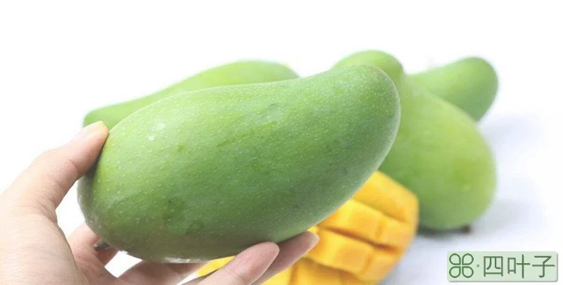 青芒果能吃吗