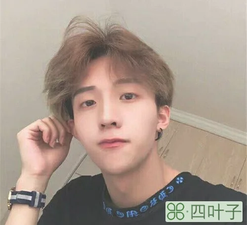 抖音宝藏男孩是啥意思