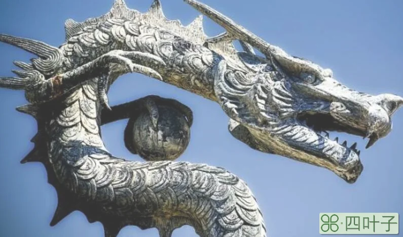 欲钱买吞云吐雾的动物