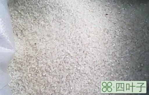 大米轻微有点黑能吃吗