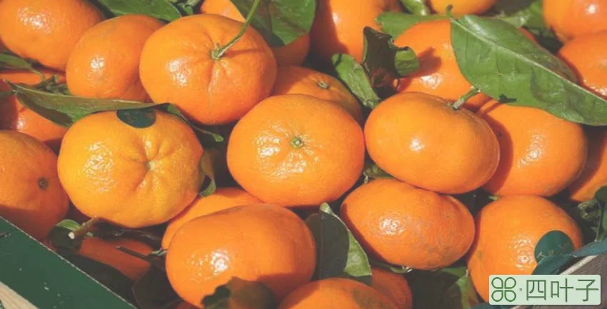 橘子含钾高吗