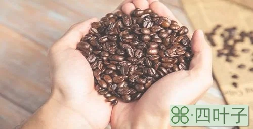 阿拉比卡咖啡豆的特点