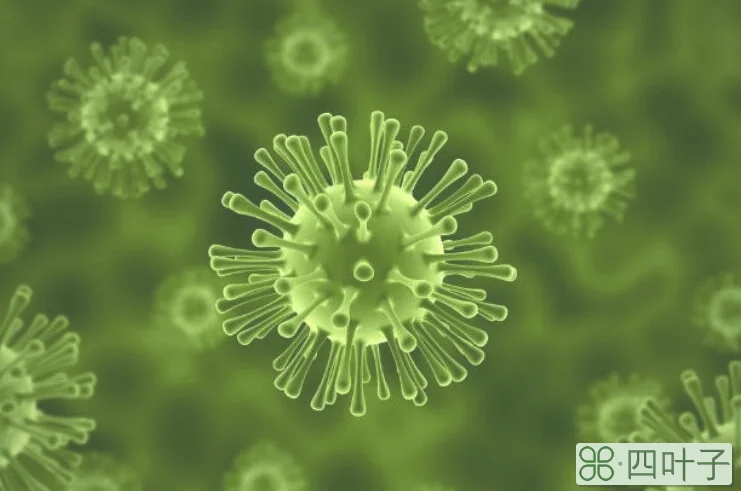 生活中常见的微生物举例