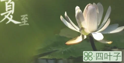 日影短至是什么意思