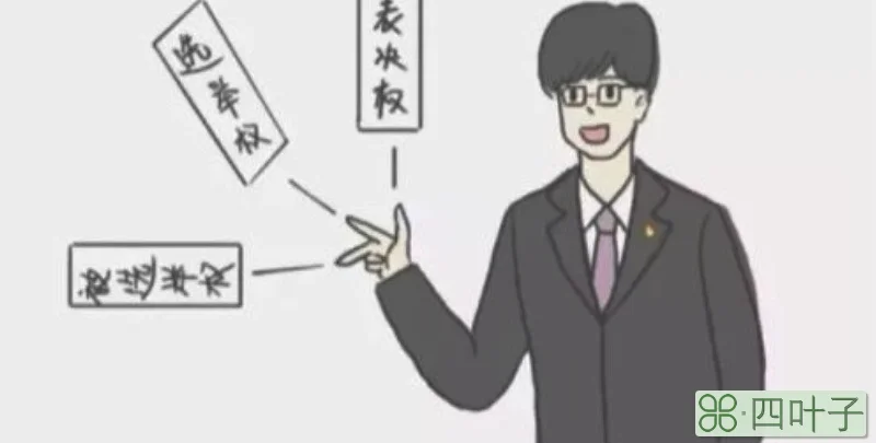 表决权和决定权的区别