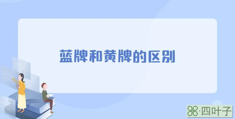 蓝牌和黄牌的区别