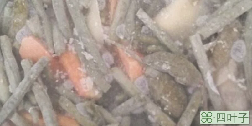 泡菜不脆是什么原因