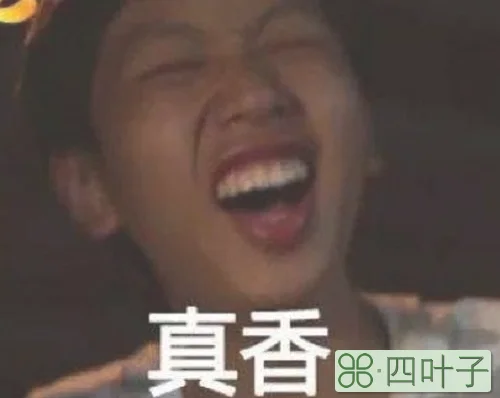 真香定律什么时候出来的