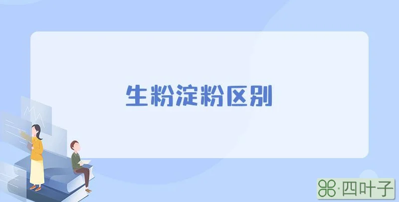 生粉淀粉区别