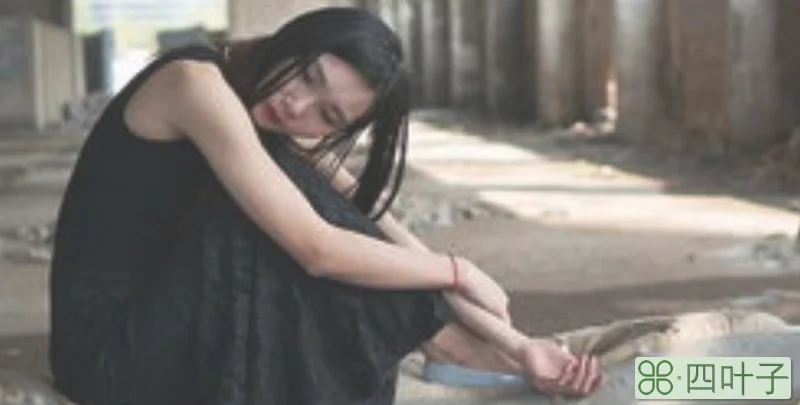 刺猬性格的女生原因