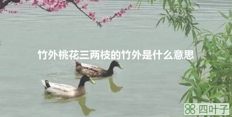 竹外桃花三两枝的竹外是什么意思