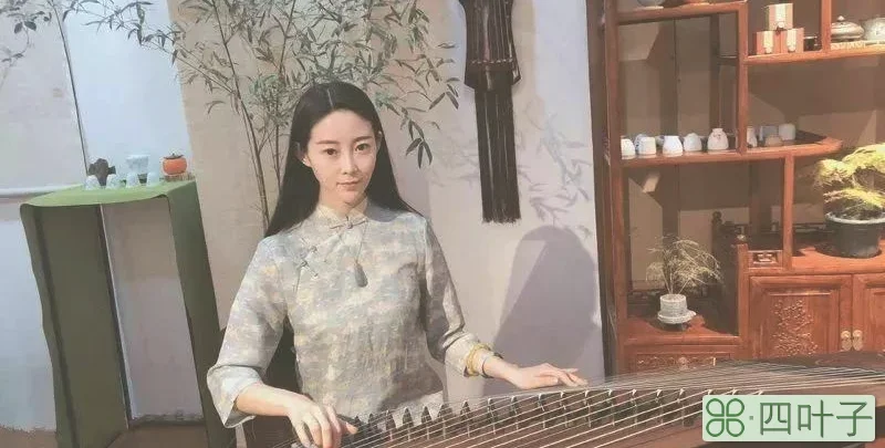 四坑少女是哪四坑