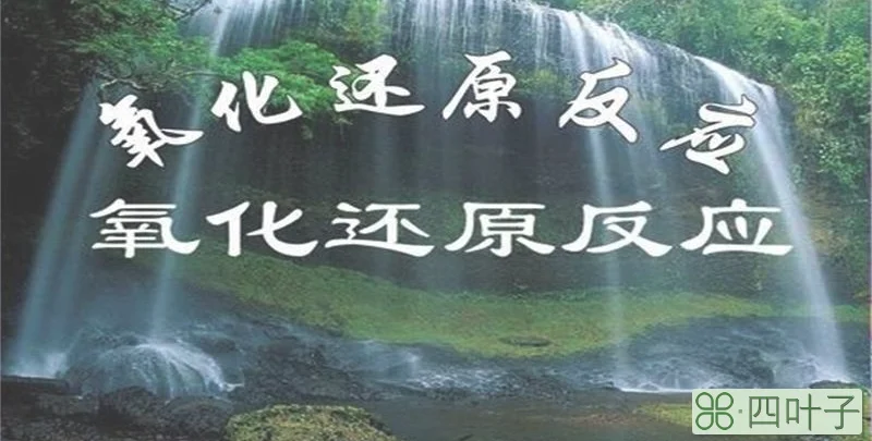 氧化反应和还原反应的区别