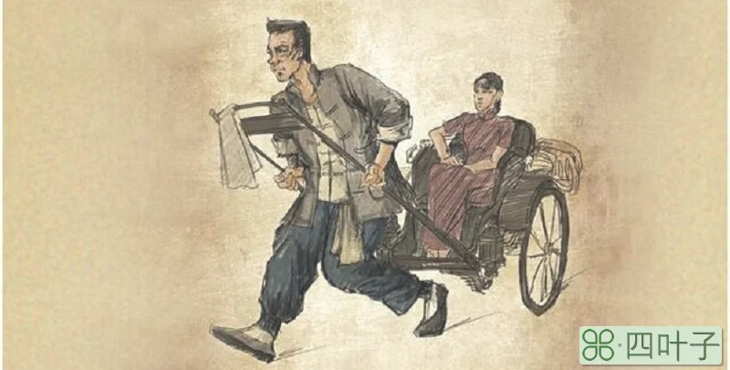 骆驼祥子十六章主要内容是什么
