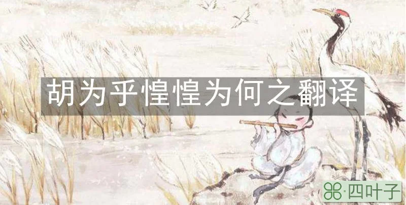 胡为乎惶惶为何之翻译