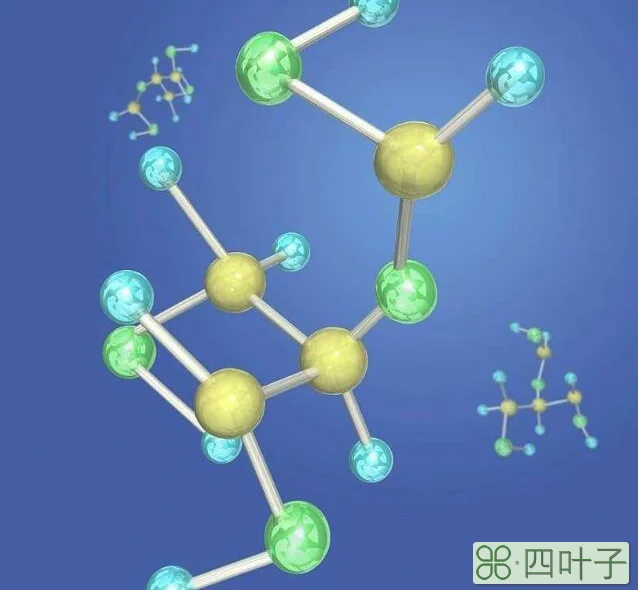 实验式和分子式的区别