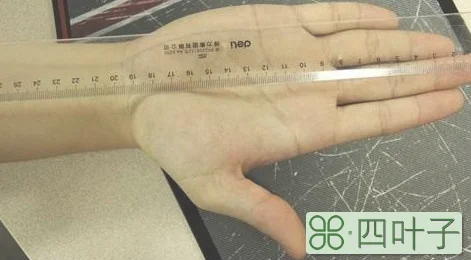 1米等于多少mm