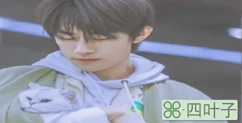 老婆粉的意思