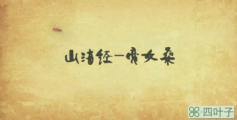 羽之国是哪个国家