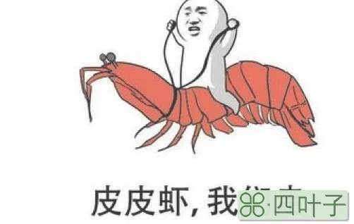 皮皮虾里的眼什么意思