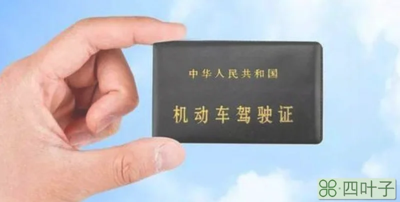 驾照体检照片不可自带吗