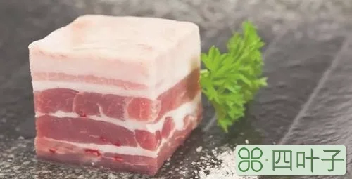不饱和脂肪和饱和脂肪区别