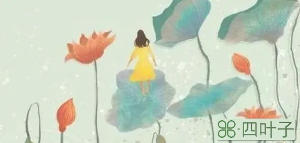 绿茶女和白莲女的区别