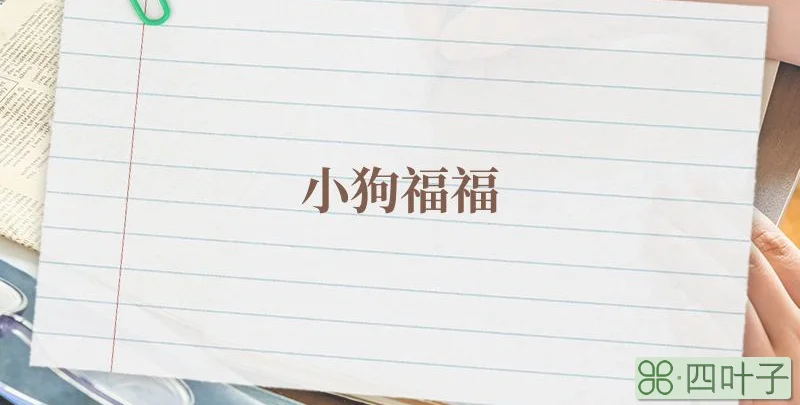 小狗福福