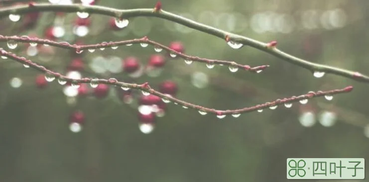 空梅主要是指发生在我国哪一地区的少雨现