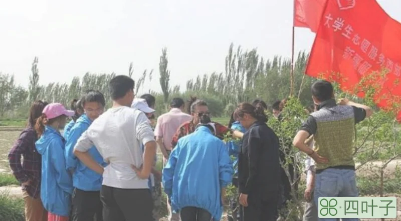 道德以什么为评价方式