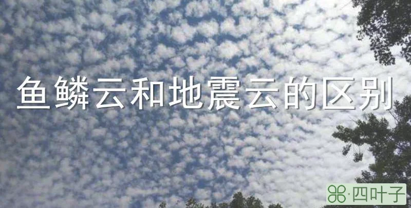 鱼鳞云和地震云的区别