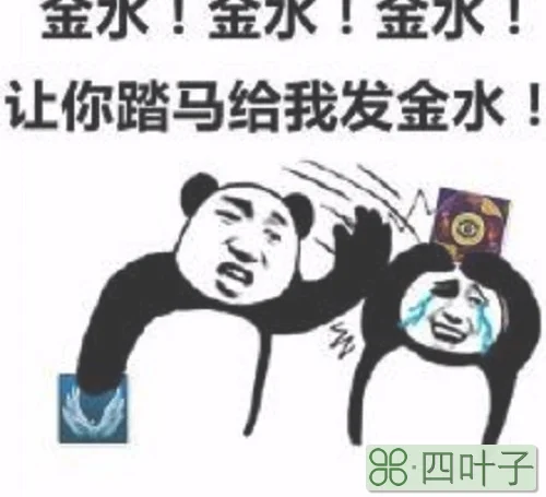 怂狼局什么意思