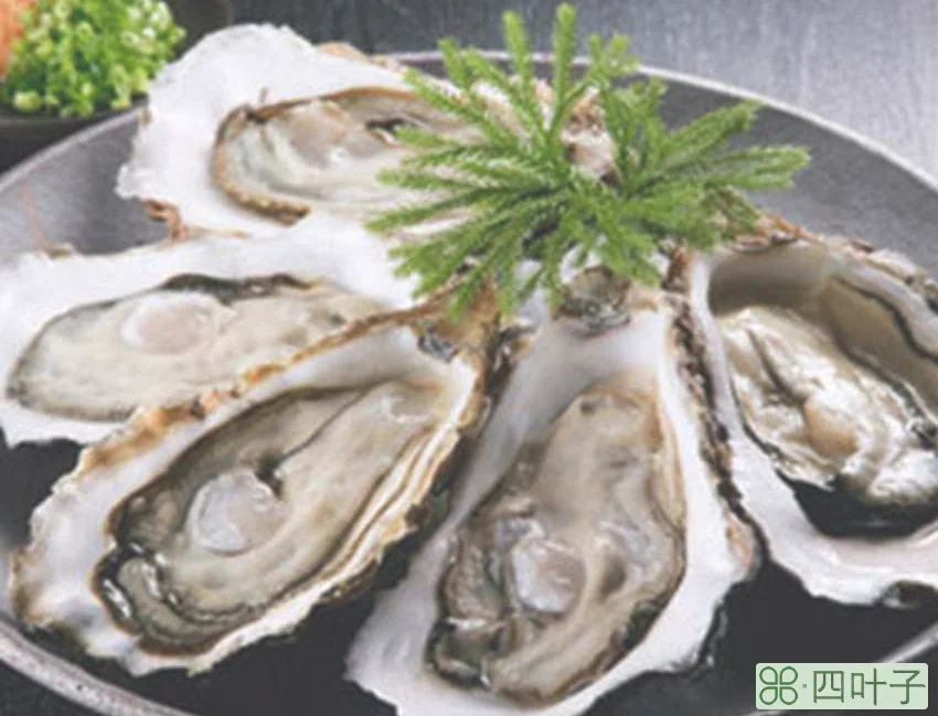 生蚝不能吃的部位