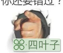 艾维巴蒂什么意思