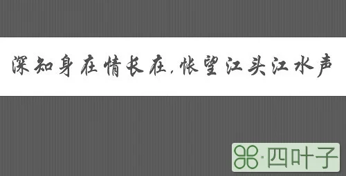 深知身在情长在,怅望江头江水声意思