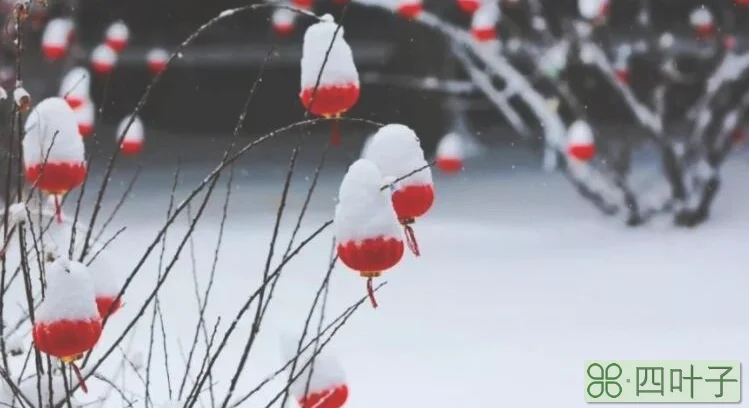 天时人是日相催,冬至阳生春又来的意思