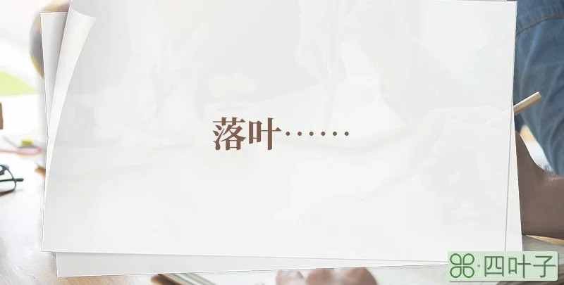 落叶……