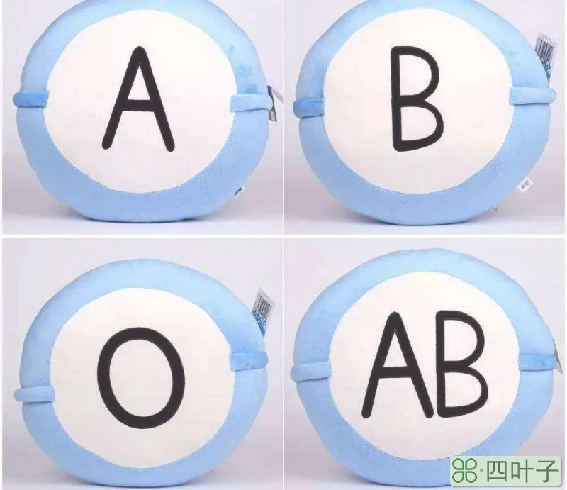 abo什么时候意思