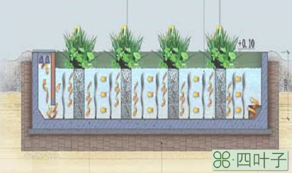 厌氧池作用