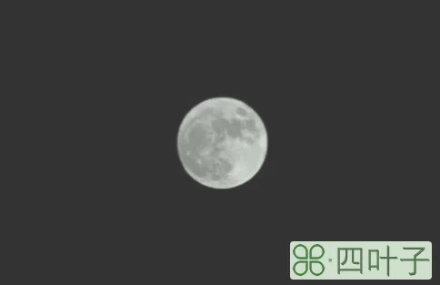 将心向明月明月照沟渠是什么意思