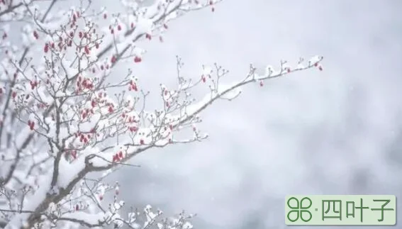 雪晴云淡日光寒的意思