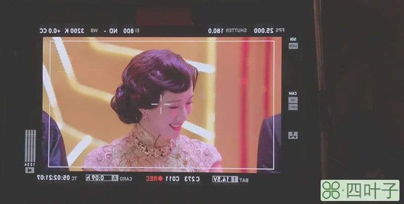 李念个人资料