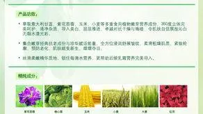 真百代嫩芽萃白紧肌系列！
