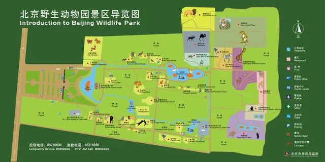 北京野生动物园游览全攻略，看完让你轻松带娃玩一天！