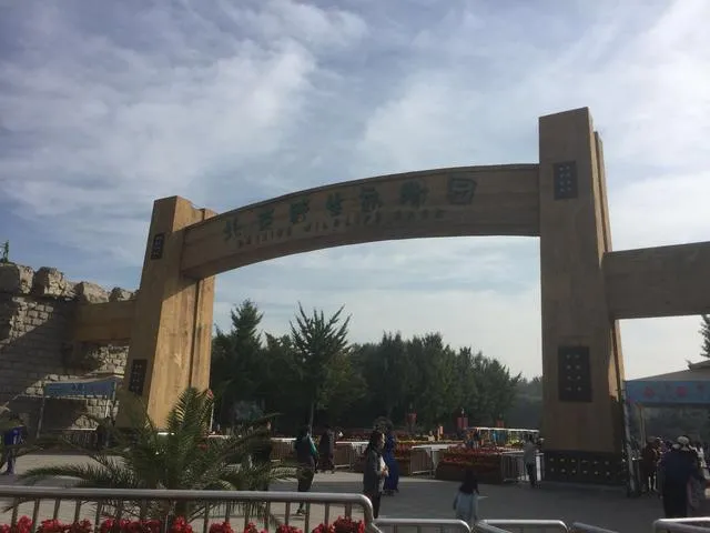 北京野生动物园游览全攻略，看完让你轻松带娃玩一天！