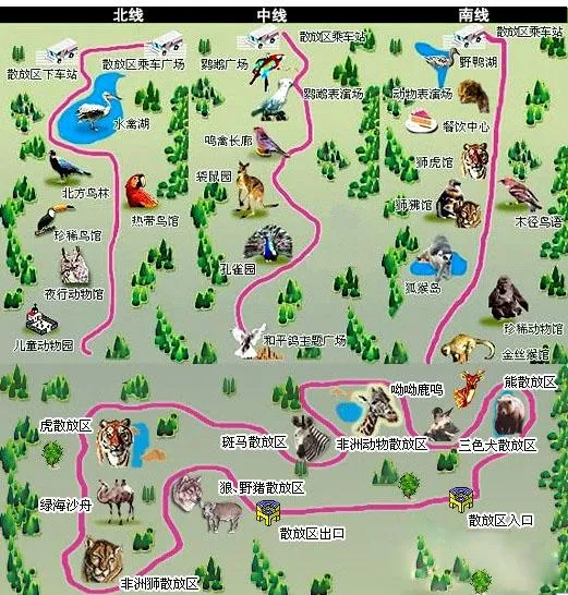 北京野生动物园游览全攻略，看完让你轻松带娃玩一天！