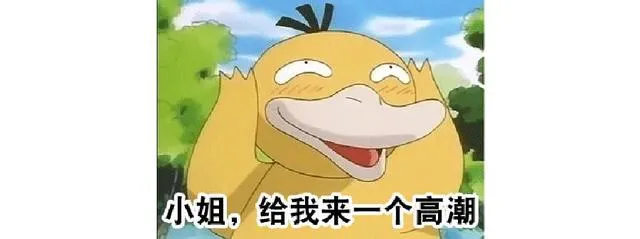 终于知道NARS的中文名，恍恍惚惚哈哈哈……