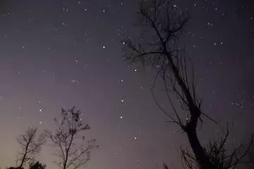 狮子座是几月几号到几月几号
