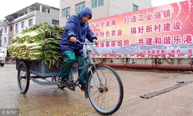 农村现在干什么能挣钱啊 | 农民朋友千万