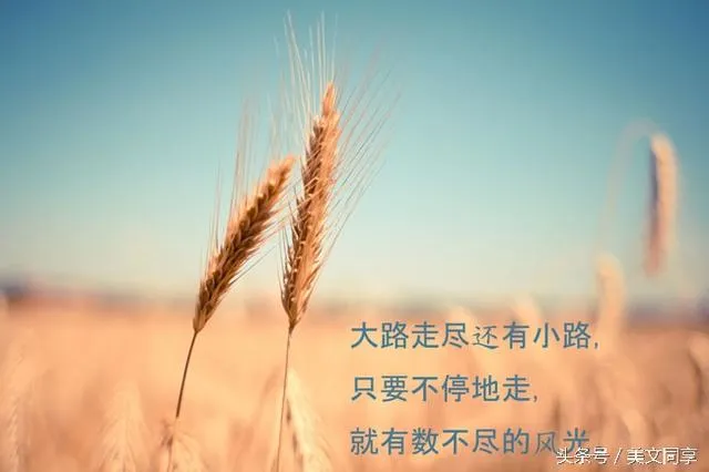 心情郁郁寡欢什么意思怎么调整 | 郁郁寡欢使人累耿耿于怀心易碎